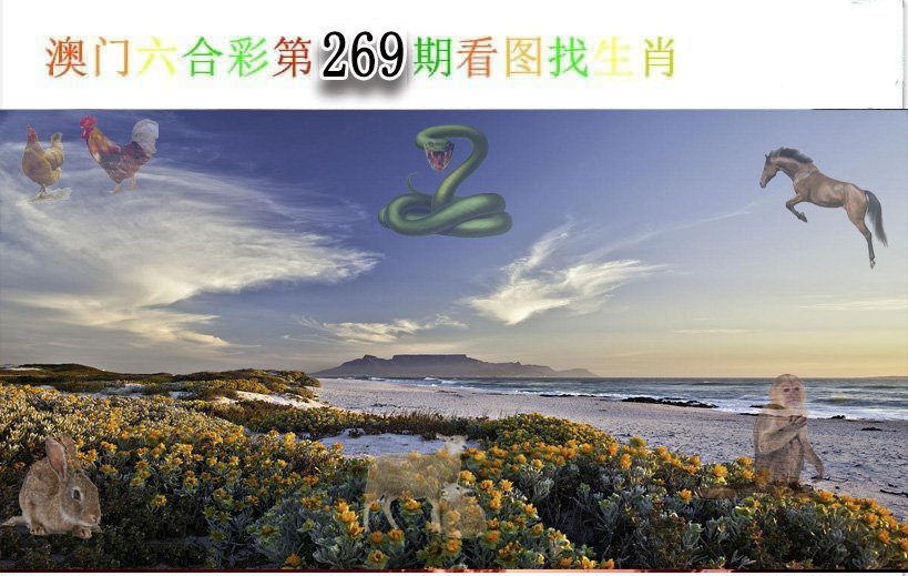 澳门挂牌手机站