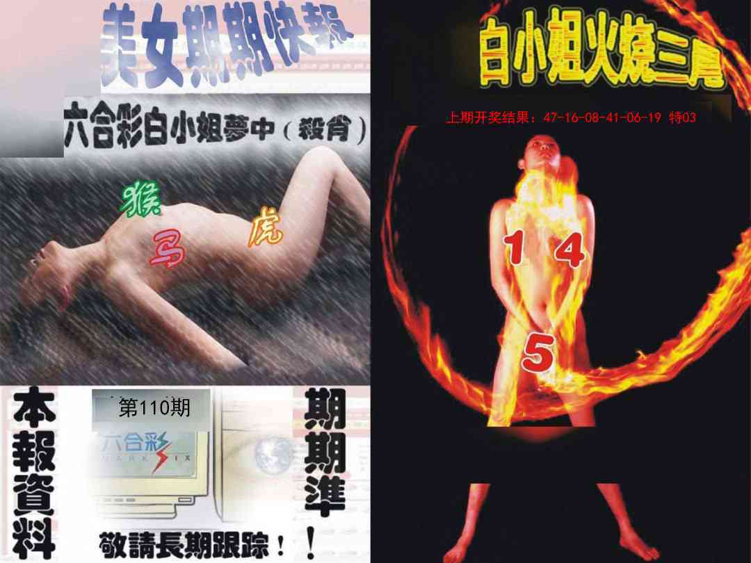 环球美女特码报