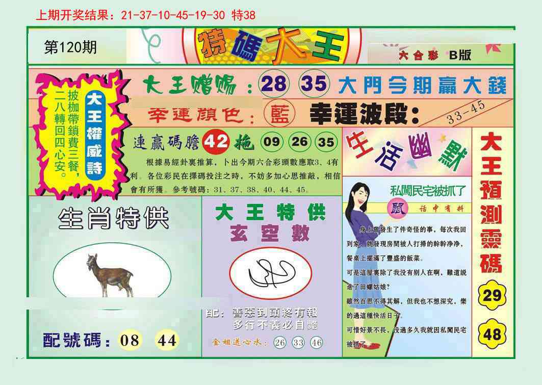 特码大王B