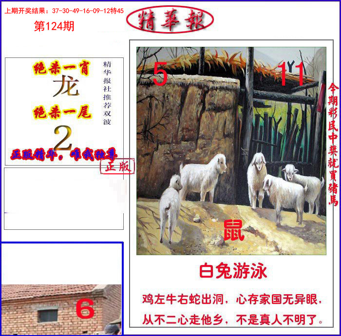 新精华报报