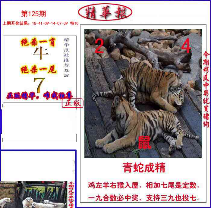 新精华报报