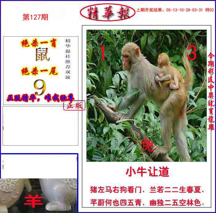 新精华报报