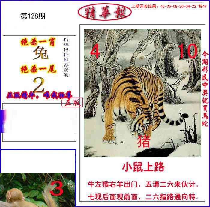 新精华报报