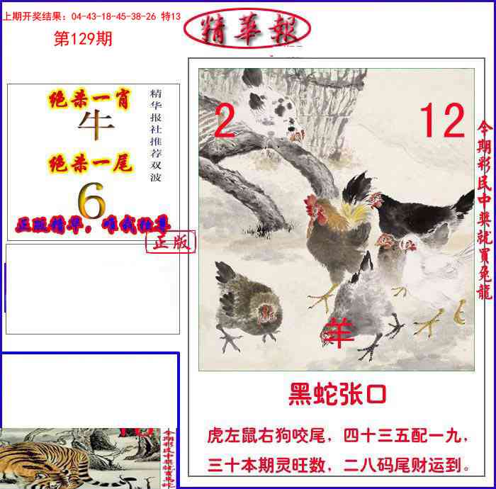 新精华报报
