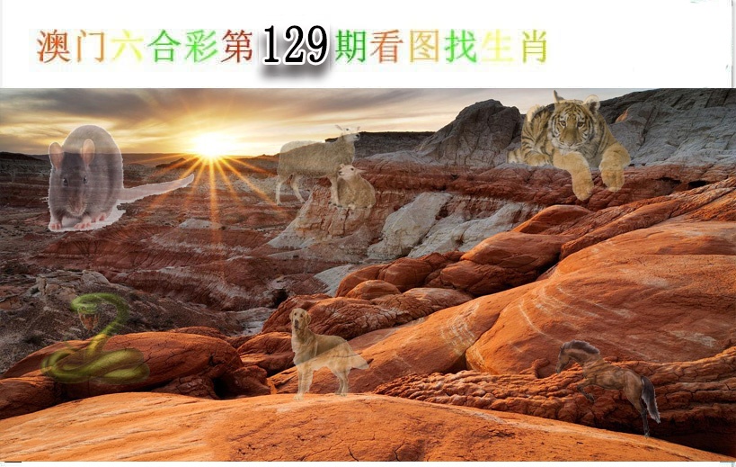 【澳门横财富】