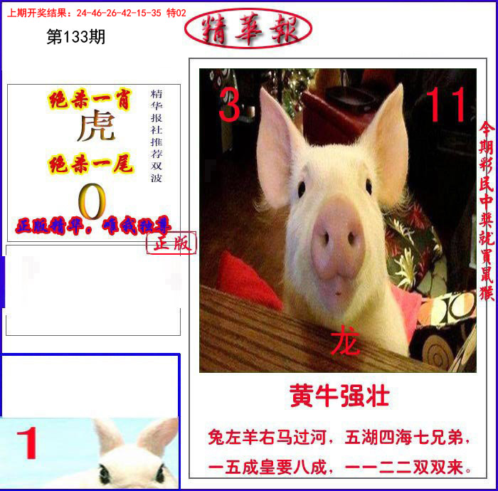新精华报报