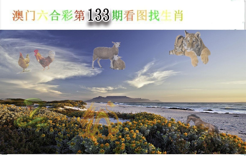 如未更新请开奖日查看