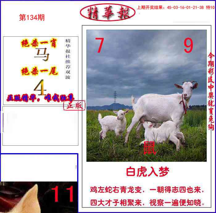 新精华报报