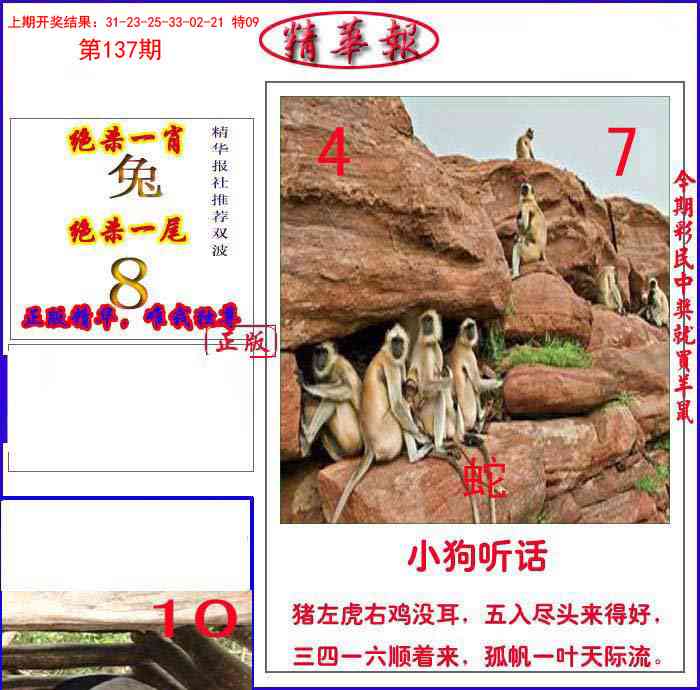 新精华报报