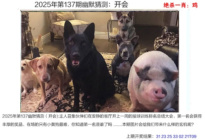 澳门掌中彩115589.com