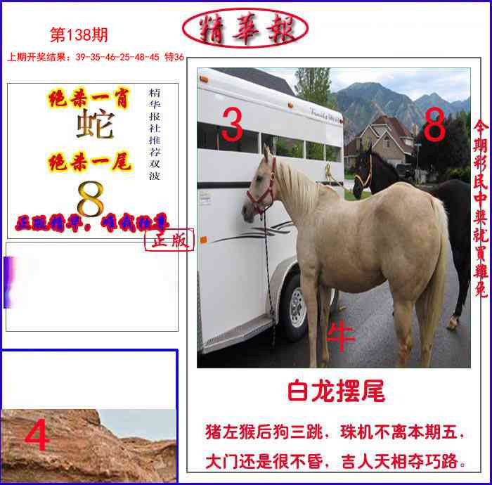 新精华报报