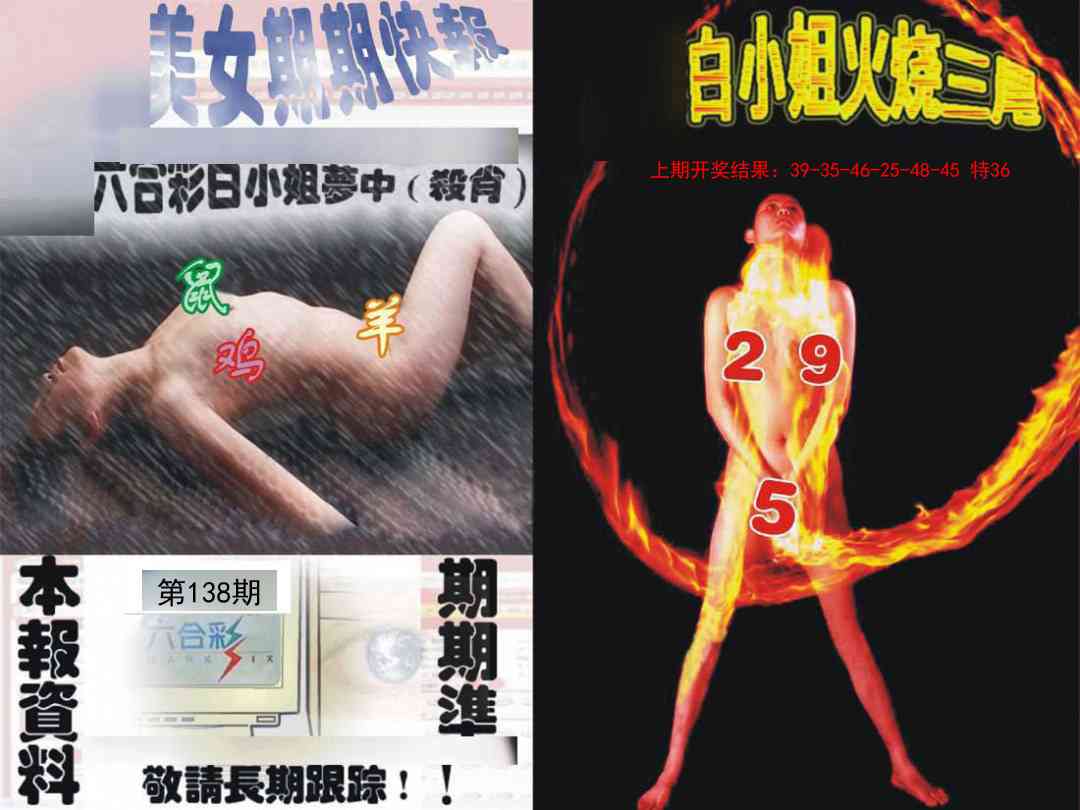 环球美女特码报