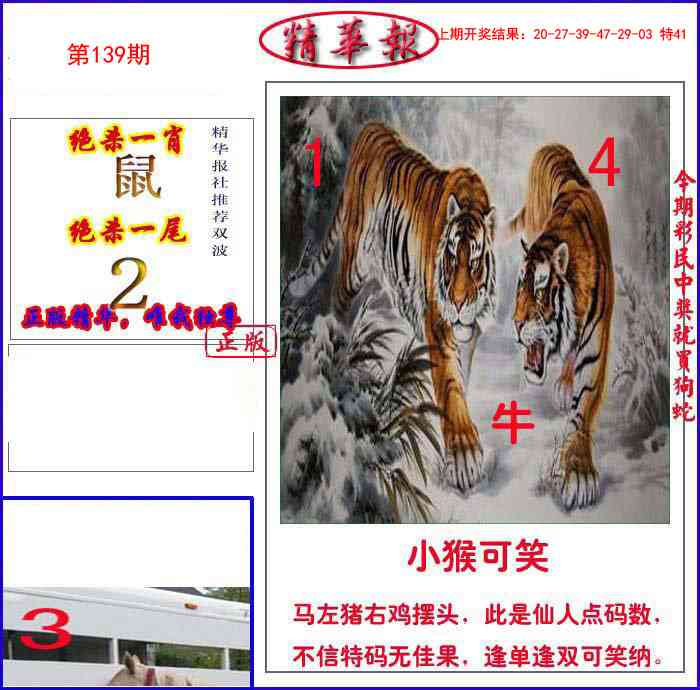新精华报报