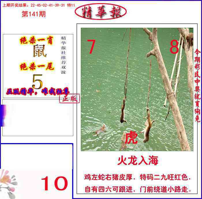 新精华报报