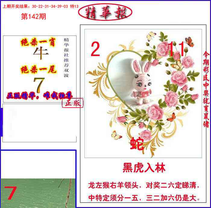 新精华报报