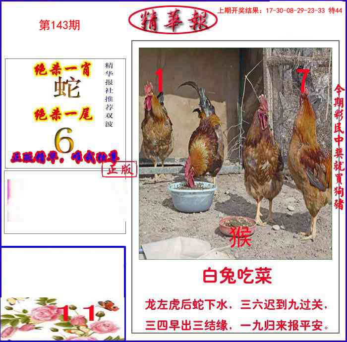 新精华报报