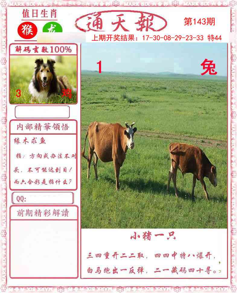 澳门横财富