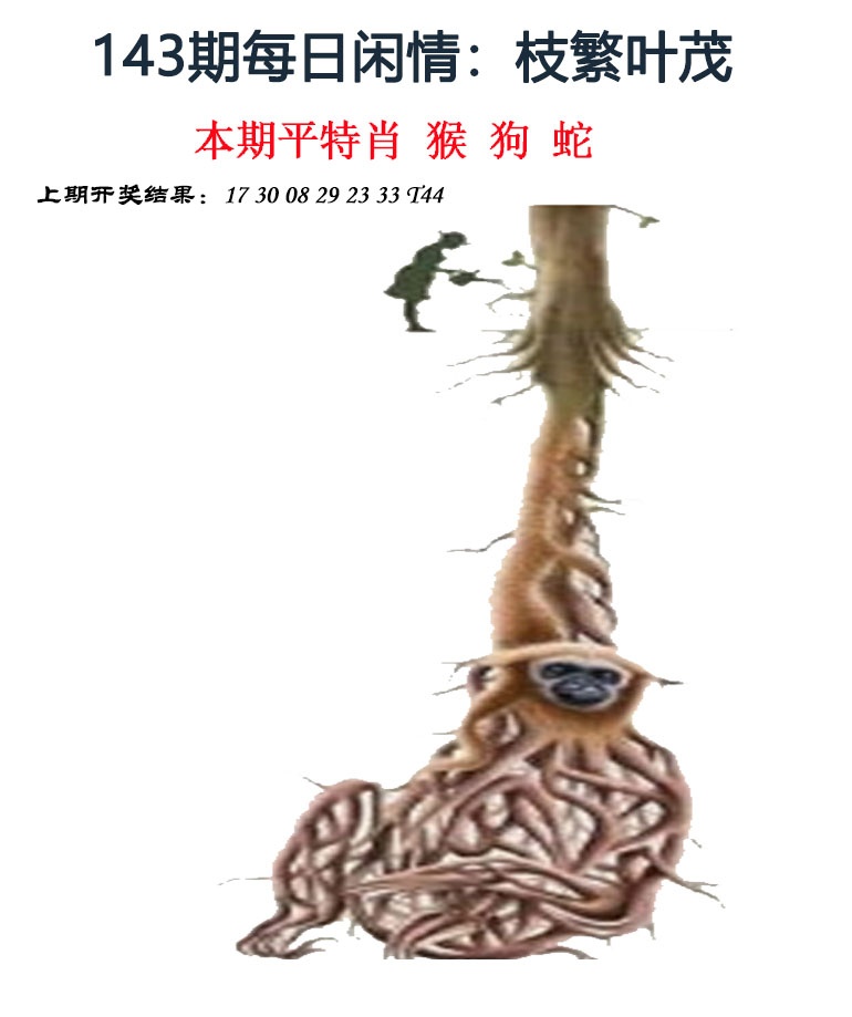 澳门横财富