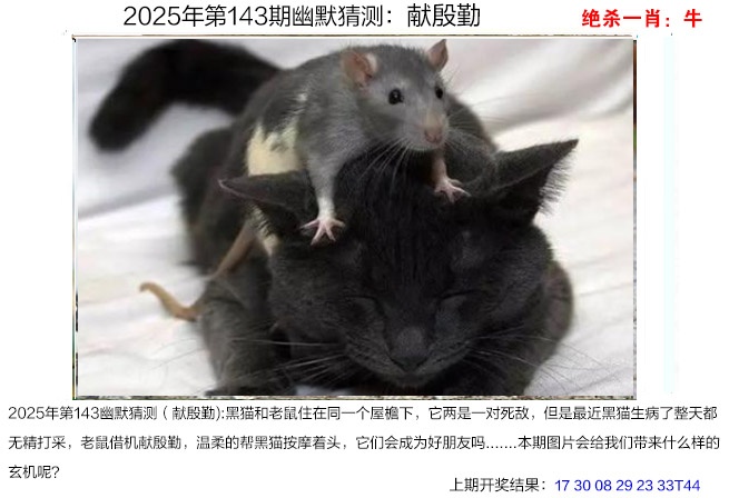 澳门横财富