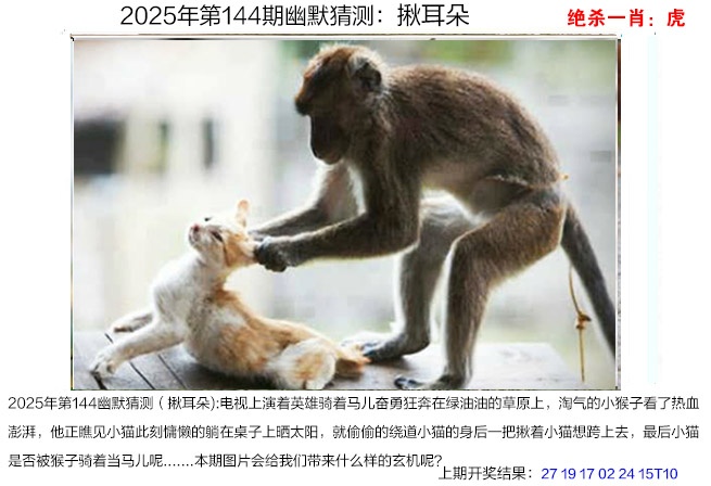 图片资料正在更新中……