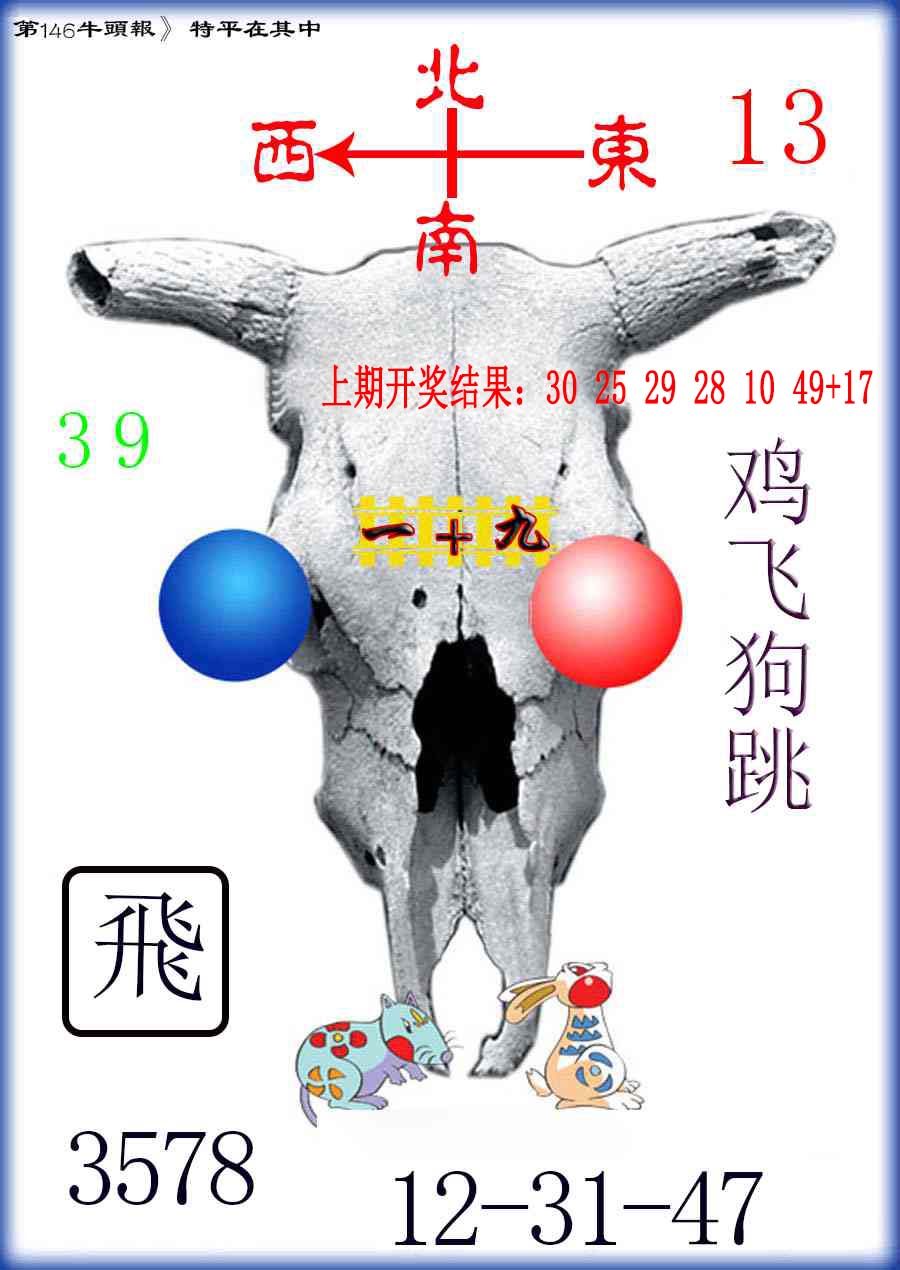 澳门马会贴士