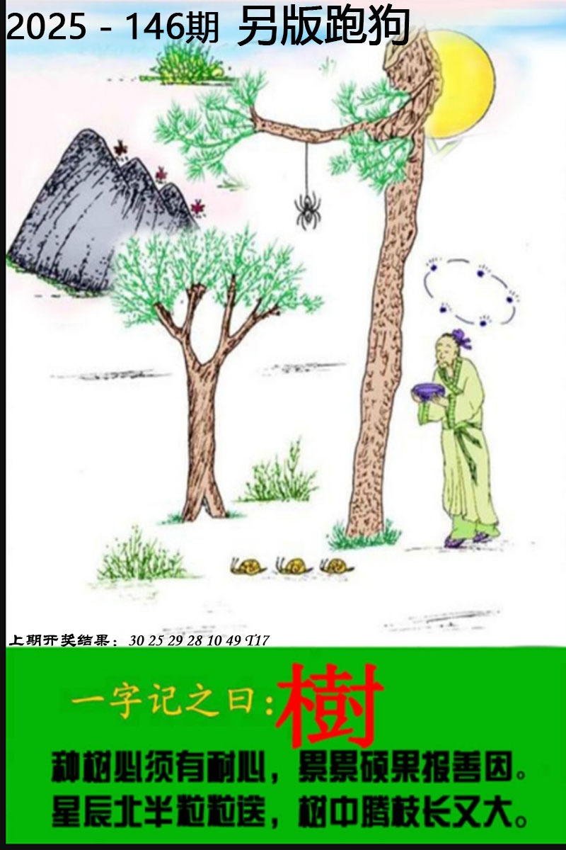 澳门马会贴士