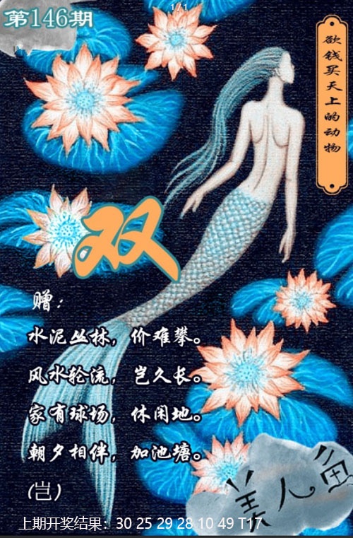 澳门马会贴士