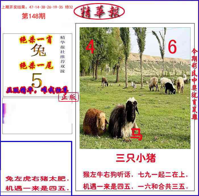 新精华报报