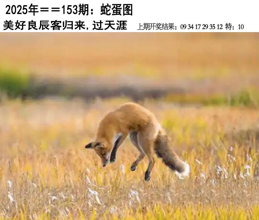 图片资料正在更新中……