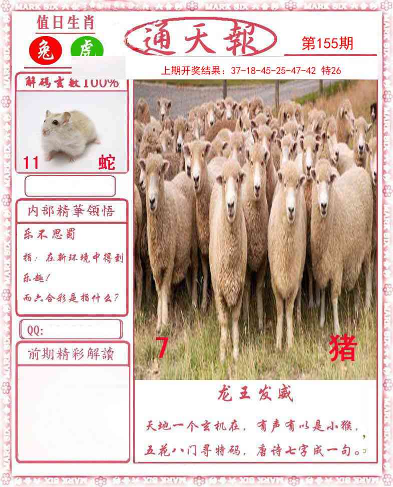 澳门金虎堂