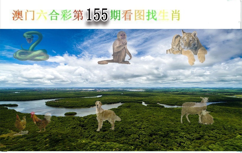 澳门金虎堂