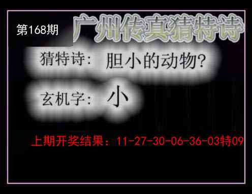 澳门天天好彩