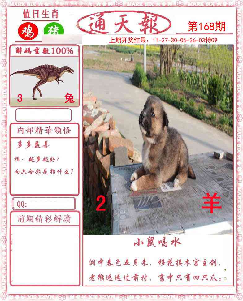 澳门大富翁