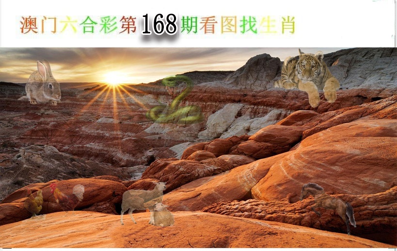 澳门天天好彩