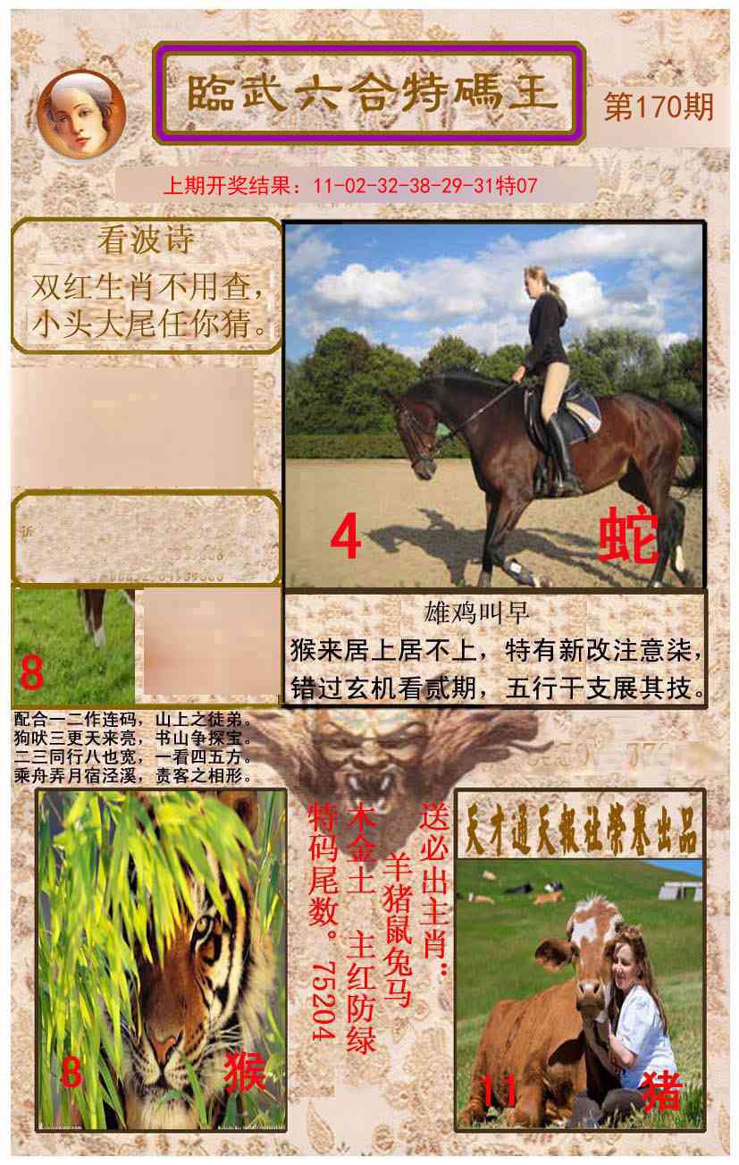 临武六合特码王
