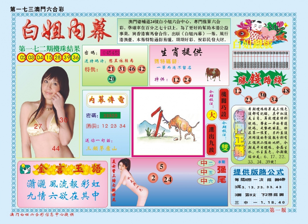 白小姐内幕A