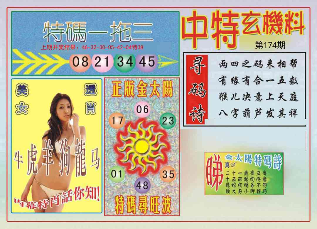 中特玄机料