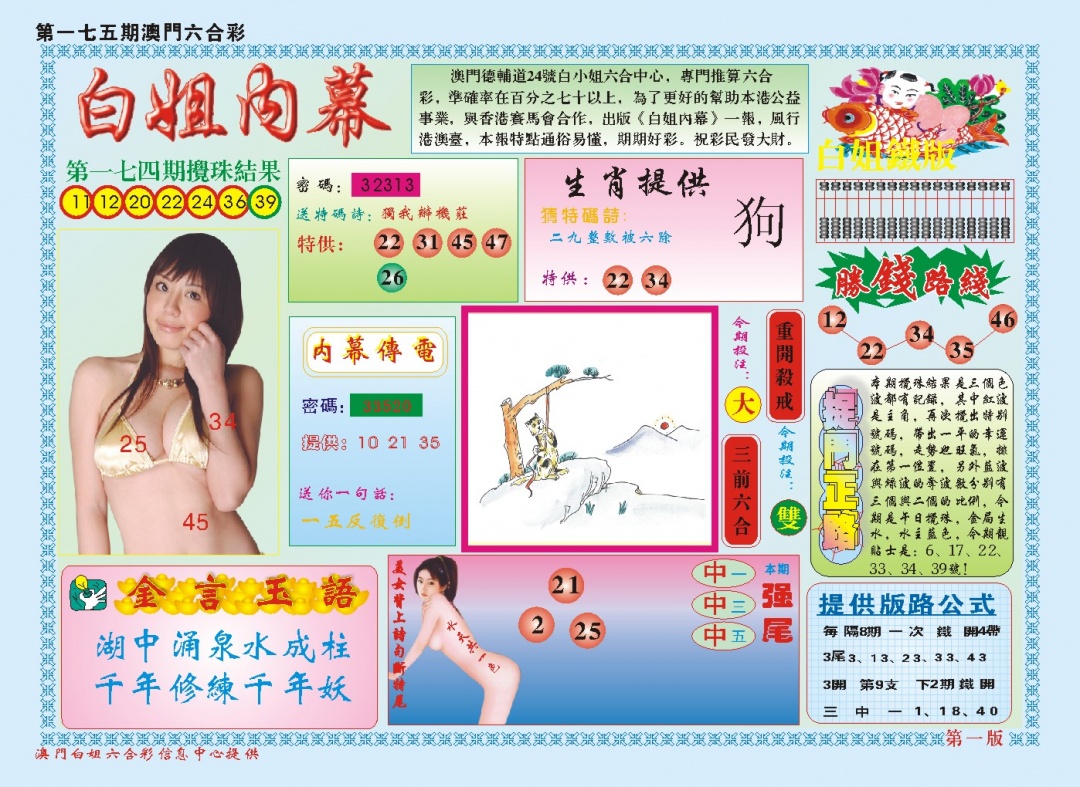 白小姐内幕A
