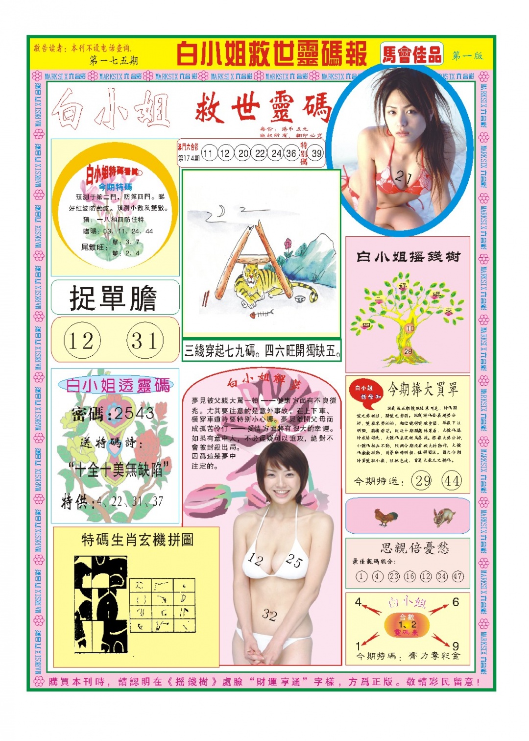 白小姐龙卷风A