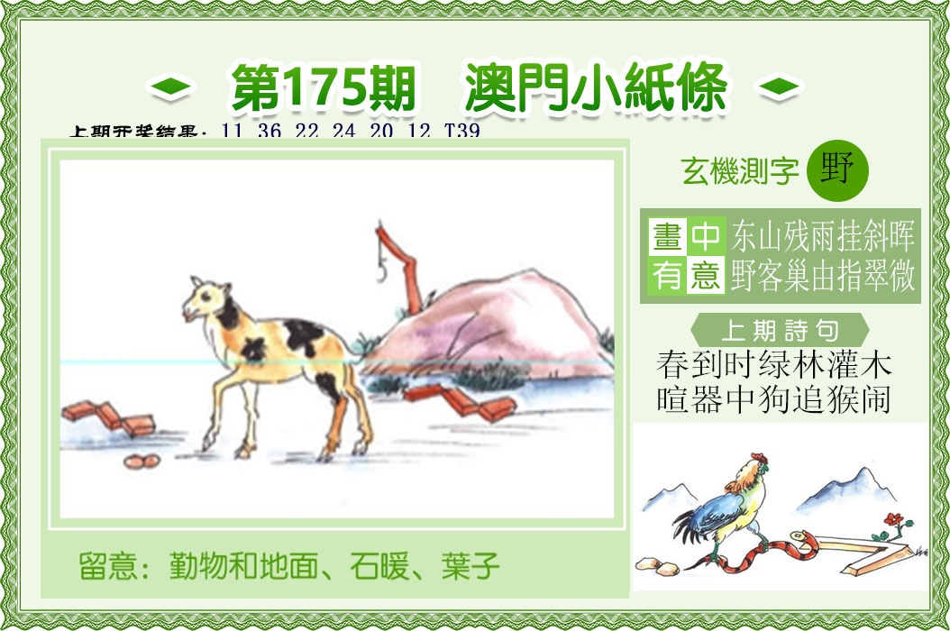 澳门小纸条