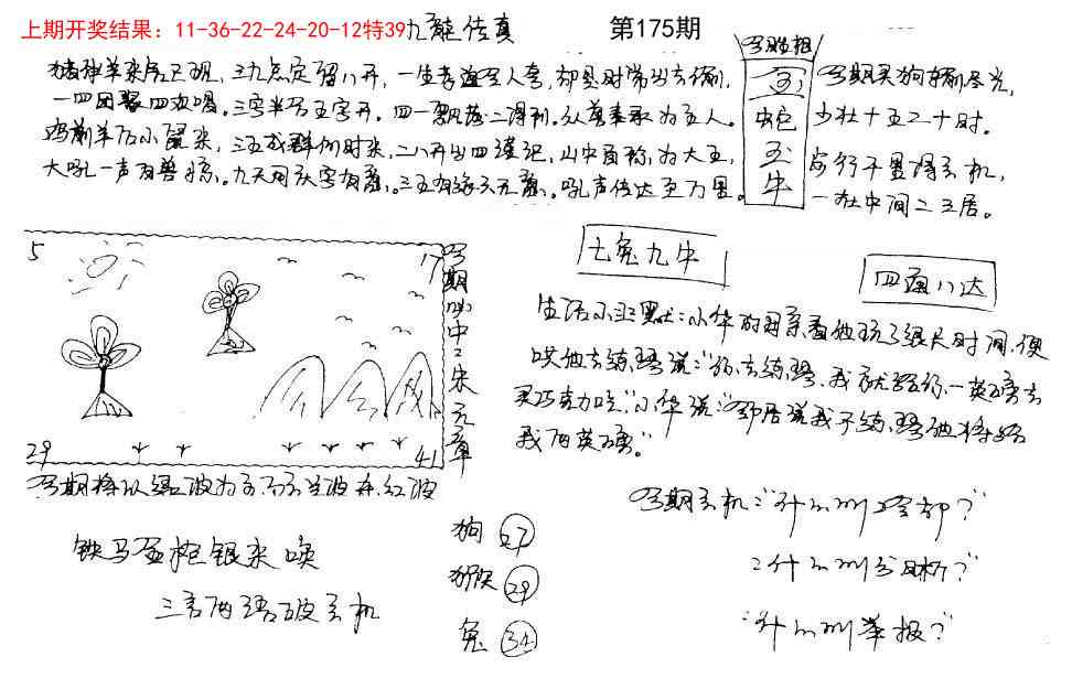 手写九龙内幕