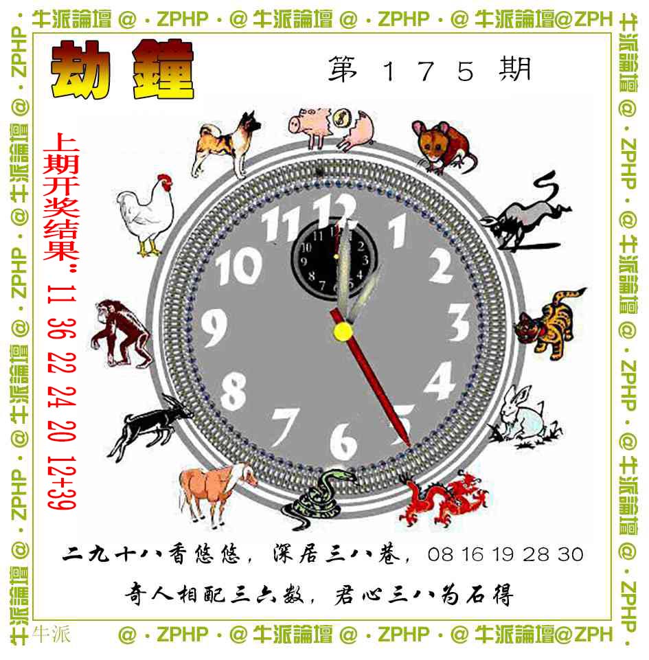 牛派系列4
