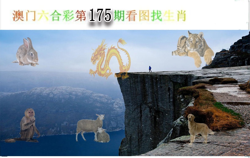 看图找生肖