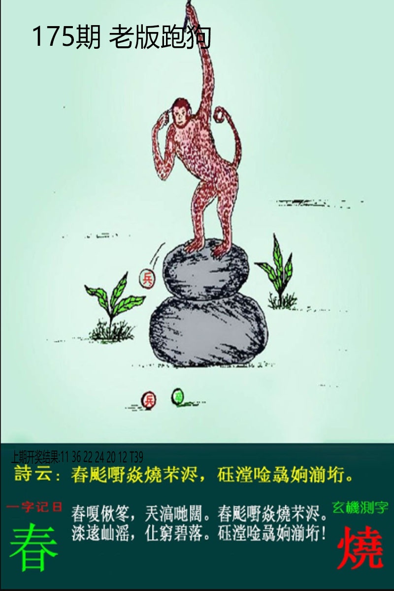 老板跑狗