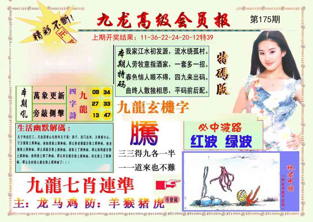 九龙高级会员报
