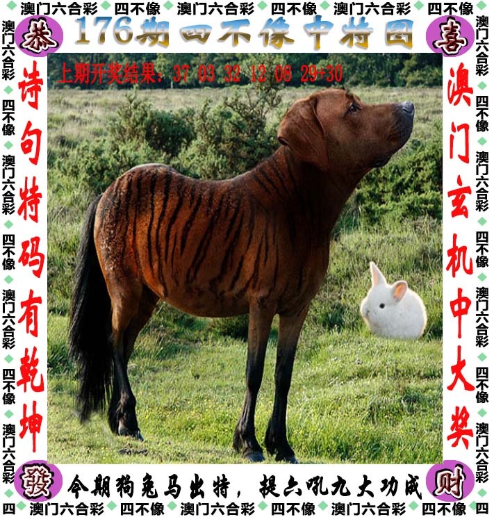 如遇图片未显示，请开奖日六点后查看