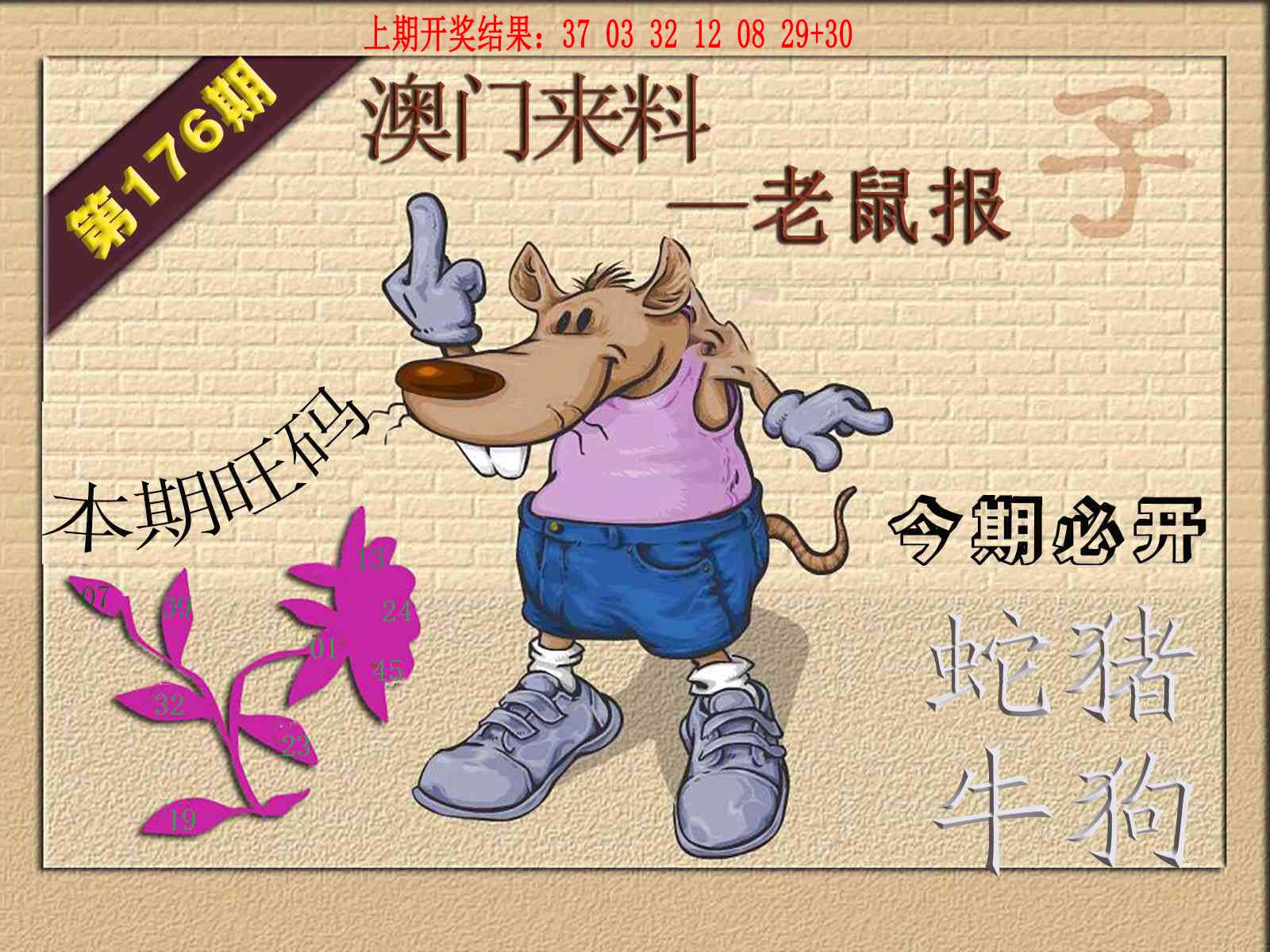 (来料)鼠报