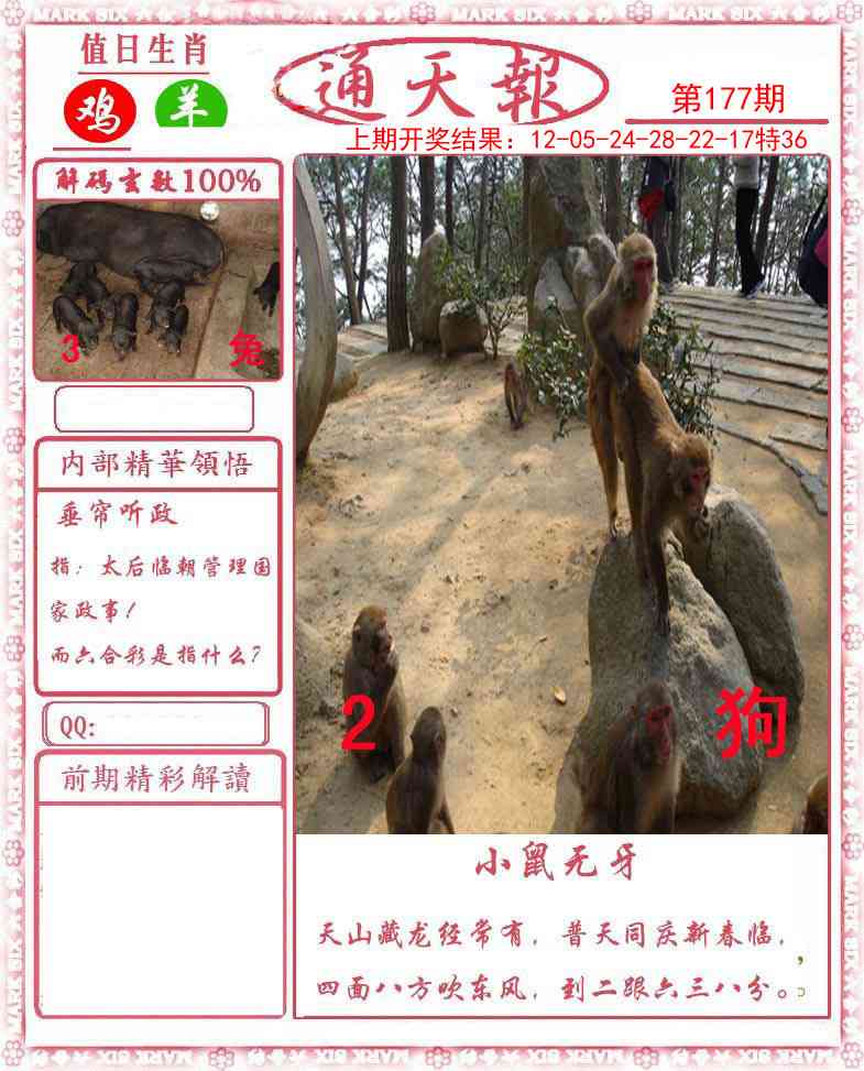 澳门大富翁