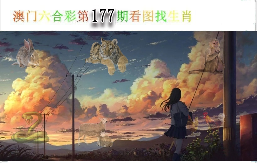 澳门大富翁