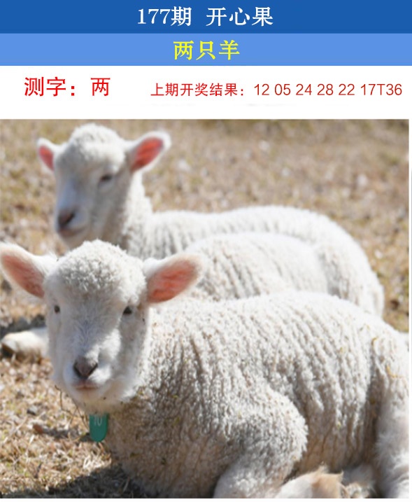 澳门大富翁